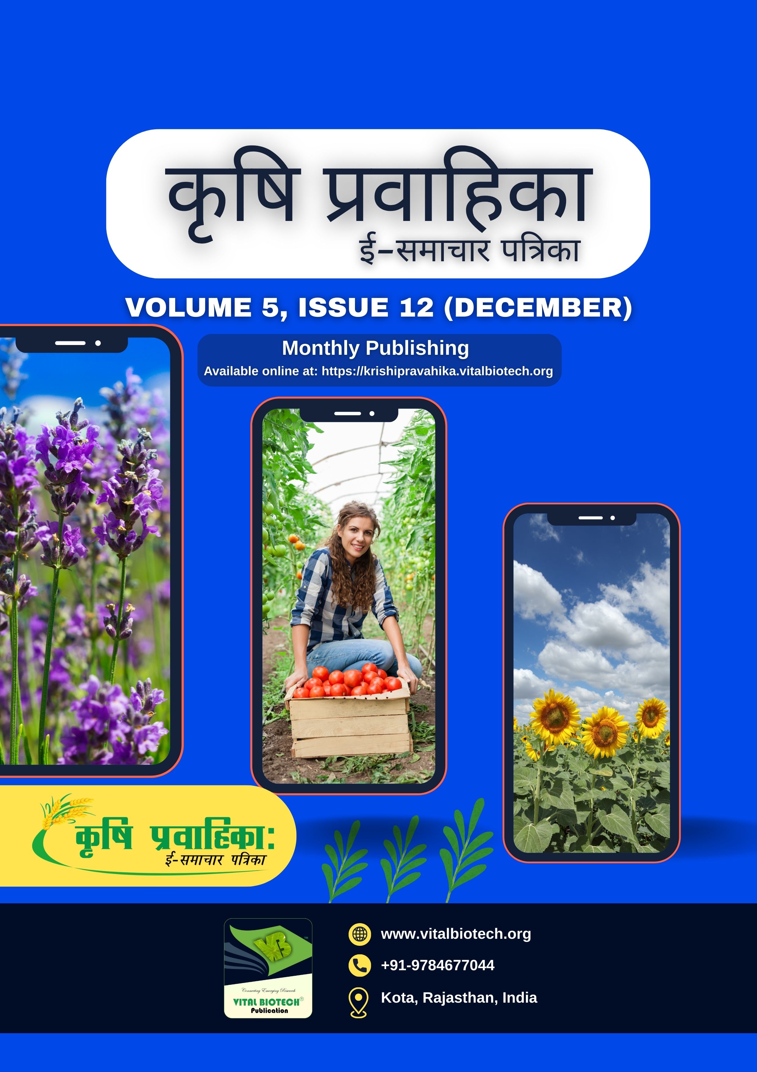 Volume 5, Issue 12